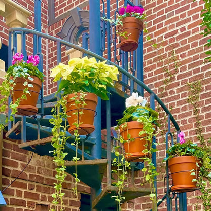 🔥2026 Hot Sale - Railing Plant Hanger